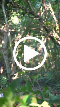 BIB:  <button type="button" onclick="openModal(28056487)" class="btn btn-primary btn-sm float-right" data-toggle="modal" data-target=".modal-high-quality">
                <i class="fa fa-download"></i> Download
                </button>